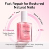 image:imageMelodySusie 3Pcs Acrylic Nail Brush Set Sizes 81014  Professional Nail Art Tool for Acrylic Application Powder Extension amp 3D Carving PinkDeep Sparkling Pink