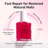 image:imageMelodySusie 3Pcs Acrylic Nail Brush Set Sizes 81014  Professional Nail Art Tool for Acrylic Application Powder Extension amp 3D Carving PinkFuchsia