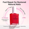 image:imageMelodySusie 3Pcs Acrylic Nail Brush Set Sizes 81014  Professional Nail Art Tool for Acrylic Application Powder Extension amp 3D Carving PinkRed