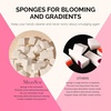 image:imageMelodySusie Gradient Painting Gel 6 Colors Spring Summer Ombre Gel Polish with 100 SpongesampMetal Grabber Set for Aura Nails French Manicure No Wipe Soak Off UV DIY Nail Art Palette Macaron PinkWhite