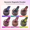 image:imageMelodySusie Nail Magnet Set 12PCS Cat Eye Gel Nail Polish Magnets Square Round Double Ended Magnet Stick Cat Eye Magnet for Nails Strong Magnetic Nail Polish Magnets Nail Design ToolsChameleon
