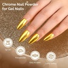 image:imageMelodySusie Champagne Chrome Nail Powder for Gel NailsMetallic Mirror Effect Pigment Stylish and Technological Fine Glitter for Home DIY Salon UseSliver and Gold