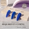 image:imageMelodySusie Gel Nail Polish Kit with UV Light PART06F Popular Color Gel with Builder and Baser ampGlossy Top Coat Soak Off Includes Nail Art Tools Nail Art Gift for Women amp GirlsRoyal Blue269