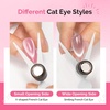 image:imageMelodySusie Nail Magnet Set 21PCS Cat Eye Gel Nail Polish Magnets Round Square Double Ended Magnet Stick Cat Eye Magnet for Nails Strong Magnetic Nail Polish Magnets Nail Design ToolsFrench Nail Magnet