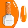 A--Bright Orange-524