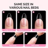 image:imageMelodySusie Medium Oval Round X Nail Tips  16 Sizes 160 Pcs PreShaped Soft Gel Half Matte Full Cover Clear Acrylic Press on Nails for DIY Extension amp Salon UseLongLasting ManicureMedium Almond 16sizes