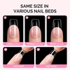 image:imageMelodySusie Medium Oval Round X Nail Tips  16 Sizes 160 Pcs PreShaped Soft Gel Half Matte Full Cover Clear Acrylic Press on Nails for DIY Extension amp Salon UseLongLasting ManicureMedium Square