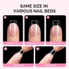 image:imageMelodySusie Medium Oval Round X Nail Tips  16 Sizes 160 Pcs PreShaped Soft Gel Half Matte Full Cover Clear Acrylic Press on Nails for DIY Extension amp Salon UseLongLasting ManicureShort Coffin