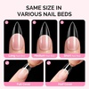 image:imageMelodySusie Medium Oval Round X Nail Tips  16 Sizes 160 Pcs PreShaped Soft Gel Half Matte Full Cover Clear Acrylic Press on Nails for DIY Extension amp Salon UseLongLasting ManicureMedium Stiletto