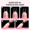 image:imageMelodySusie Medium Oval Round X Nail Tips  16 Sizes 160 Pcs PreShaped Soft Gel Half Matte Full Cover Clear Acrylic Press on Nails for DIY Extension amp Salon UseLongLasting ManicureMedium Coffin